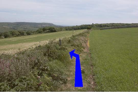 Walking direction photo: 17 for walk Corfe Castle Views, Kingston, Dorset.