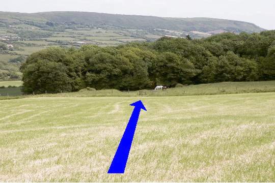 Walking direction photo: 19 for walk Corfe Castle Views, Kingston, Dorset.