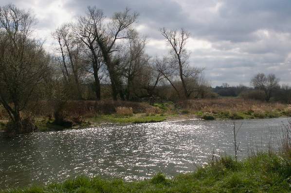 Picture, Photo, View of Pamphill, Dorset
