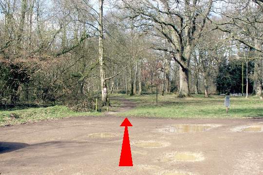 Walking direction photo: 1 for walk Cowgrove and Eyebridge, Pamphill, Dorset.