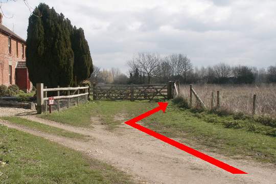 Walk direction photograph: 6 for walk Cowgrove and Eyebridge, Pamphill, Dorset, South West England.