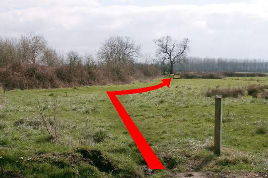 Walking direction photo: 9 for walk Cowgrove and Eyebridge, Pamphill, Dorset.