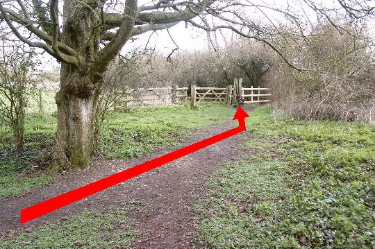 Walking direction photo: 11 for walk Cowgrove and Eyebridge, Pamphill, Dorset.