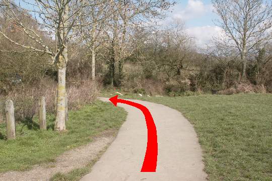 Walk direction photograph: 12 for walk Cowgrove and Eyebridge, Pamphill, Dorset, South West England.