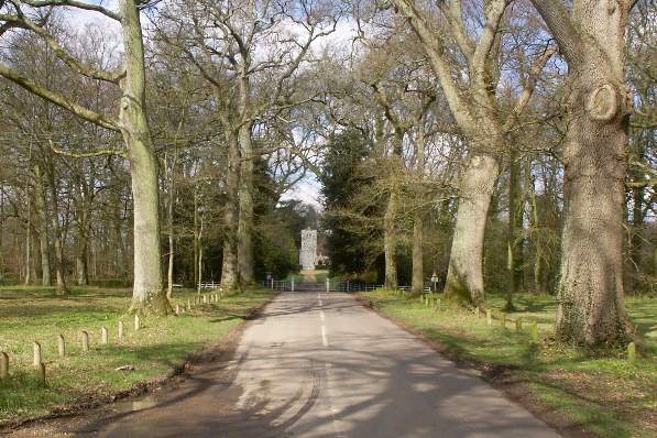 Picture, Photo, View of Pamphill, Dorset