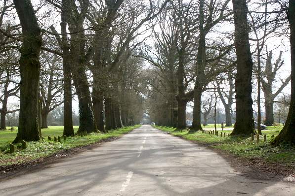Picture, Photo, View of Pamphill, Dorset