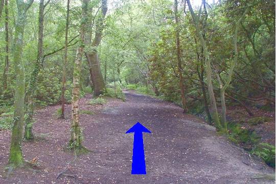 Walk direction photograph: 12 for walk Castleman Trail, Broadstone, Dorset, South West England.