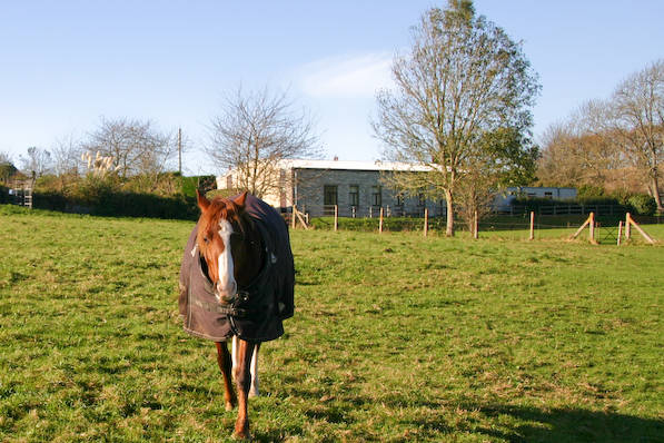 Picture, Photo, View of Corfe Castle, Dorset
