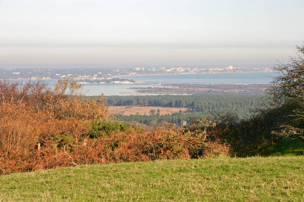 Picture, Photo, View of Corfe Castle, Dorset