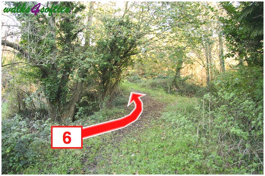 Walk direction photograph: 6 for walk Valley and East Hill, Corfe Castle, Dorset, South West England.