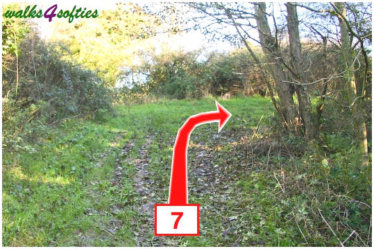 Walking direction photo: 7 for walk Valley and East Hill, Corfe Castle, Dorset.