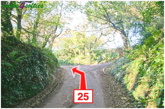 Walking direction photo: 25 for walk Valley and East Hill, Corfe Castle, Dorset.