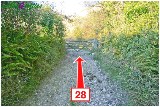 Walk direction photograph: 28 for walk Valley and East Hill, Corfe Castle, Dorset, South West England.