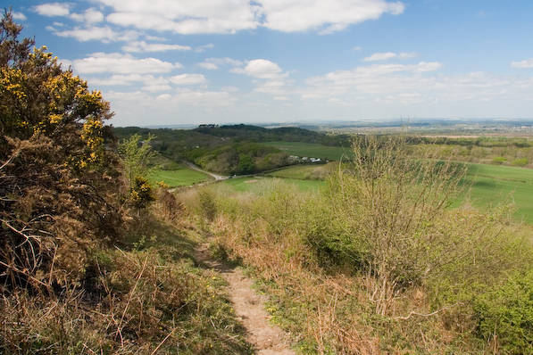 Picture, Photo, View of Corfe Castle, Dorset