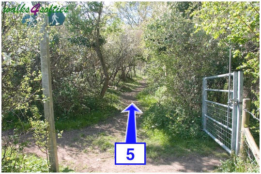 Walking direction photo: 5 for walk Purbeck Way and West Hill, Corfe Castle, Dorset.