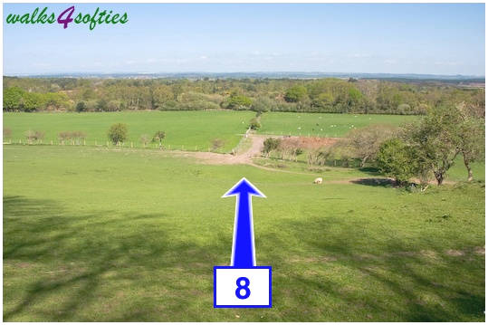 Walk direction photograph: 8 for walk Purbeck Way and West Hill, Corfe Castle, Dorset, South West England.