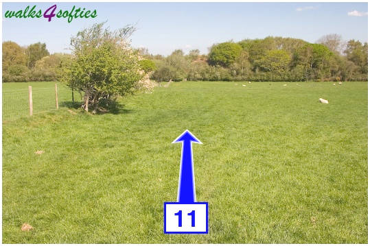 Walking direction photo: 11 for walk Purbeck Way and West Hill, Corfe Castle, Dorset.