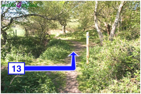 Walking direction photo: 13 for walk Purbeck Way and West Hill, Corfe Castle, Dorset.