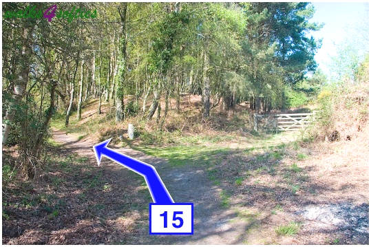 Walking direction photo: 15 for walk Purbeck Way and West Hill, Corfe Castle, Dorset.