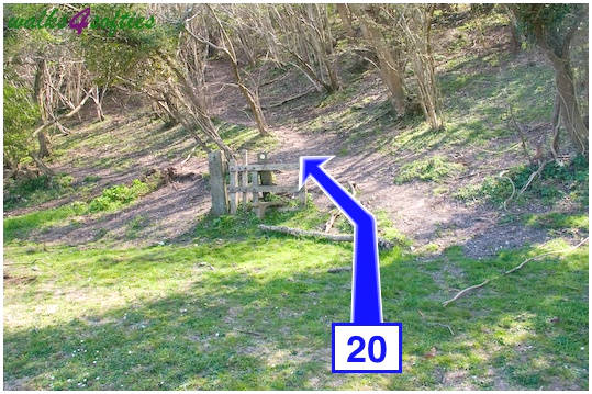 Walk direction photograph: 20 for walk Purbeck Way and West Hill, Corfe Castle, Dorset, South West England.