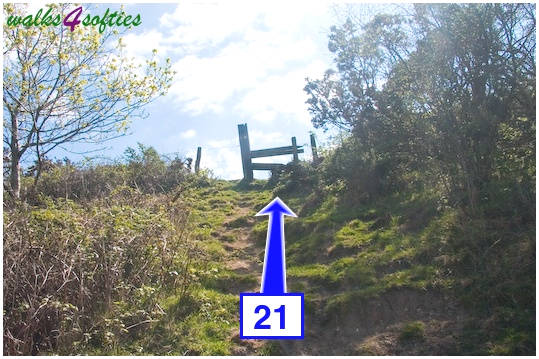 Walking direction photo: 21 for walk Purbeck Way and West Hill, Corfe Castle, Dorset.