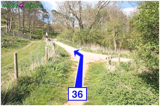Walk direction photograph: 36 for walk Purbeck Way and West Hill, Corfe Castle, Dorset, South West England.