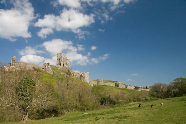 Picture, Photo, View of Corfe Castle, Dorset