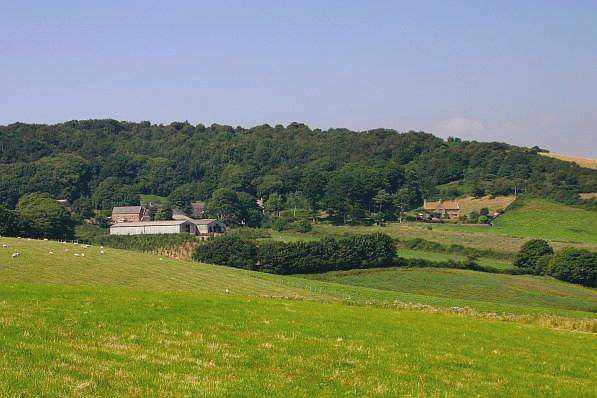 Picture, Photo, View of Eype (near Bridport), Dorset
