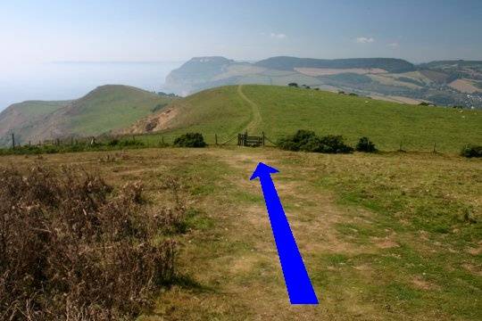 Walking direction photo: 7 for walk Doghouse Hill, Eype (near Bridport), Dorset, Jurassic Coast.