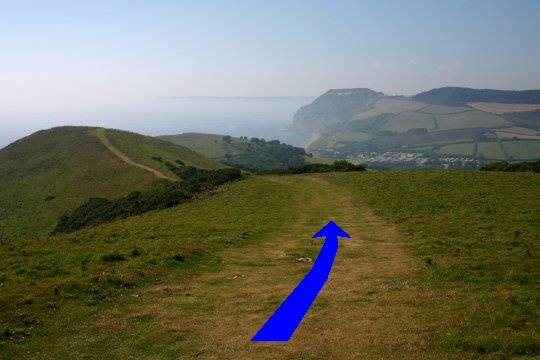 Walk direction photograph: 8 for walk Doghouse Hill, Eype (near Bridport), Dorset, South West England.