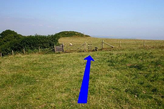 Walking direction photo: 11 for walk Doghouse Hill, Eype (near Bridport), Dorset, Jurassic Coast.