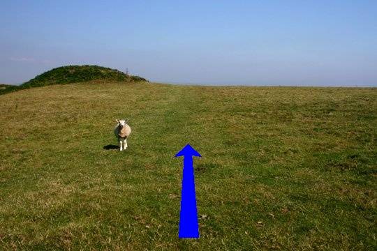 Walk direction photograph: 12 for walk Doghouse Hill, Eype (near Bridport), Dorset, South West England.