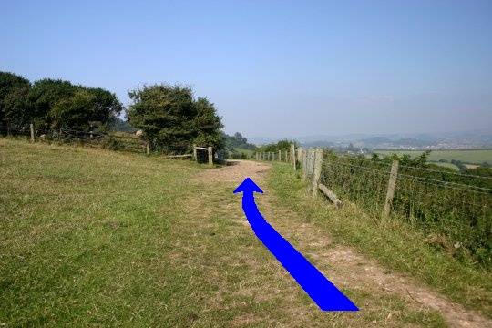 Walk direction photograph: 16 for walk Doghouse Hill, Eype (near Bridport), Dorset, South West England.