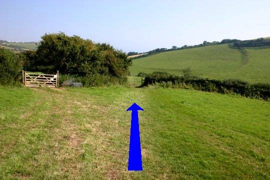 Walking direction photo: 25 for walk Doghouse Hill, Eype (near Bridport), Dorset, Jurassic Coast.