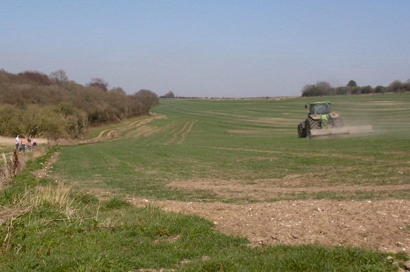 Picture, Photo, View of Gussage All Saints, Dorset