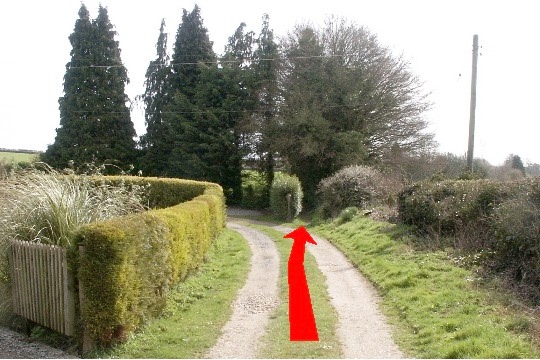 Walk direction photograph: 4 for walk Brockington Down, Gussage All Saints, Dorset, South West England.