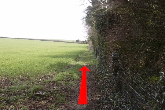 Walking direction photo: 5 for walk Brockington Down, Gussage All Saints, Dorset.