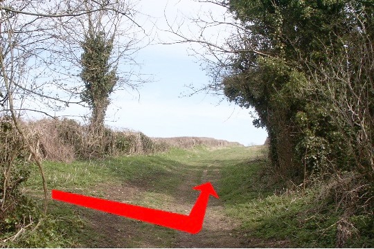 Walking direction photo: 7 for walk Brockington Down, Gussage All Saints, Dorset.