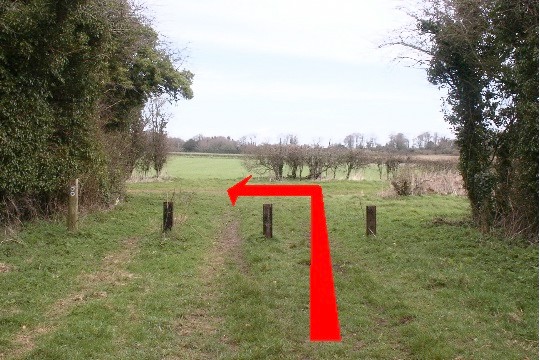 Walk direction photograph: 8 for walk Brockington Down, Gussage All Saints, Dorset, South West England.