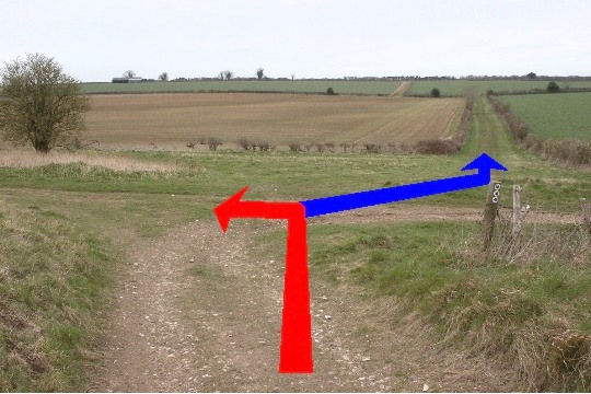 Walking direction photo: 9 for walk Brockington Down, Gussage All Saints, Dorset.