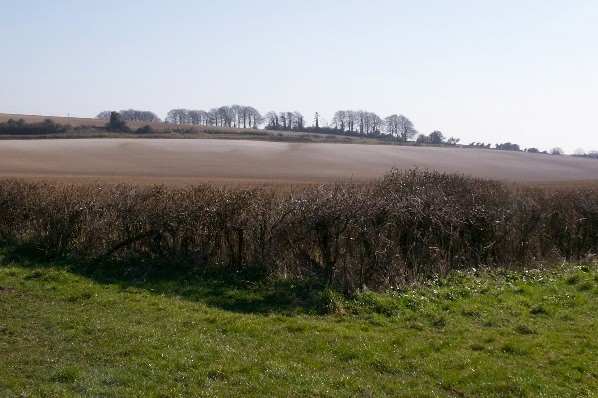 Picture, Photo, View of Gussage All Saints, Dorset
