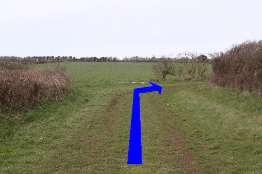Walking direction photo: 5 for walk Ackling Dyke, Gussage All Saints, Dorset.