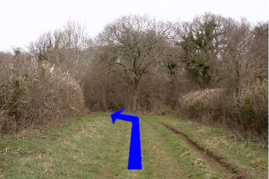 Walk direction photograph: 6 for walk Ackling Dyke, Gussage All Saints, Dorset, South West England.
