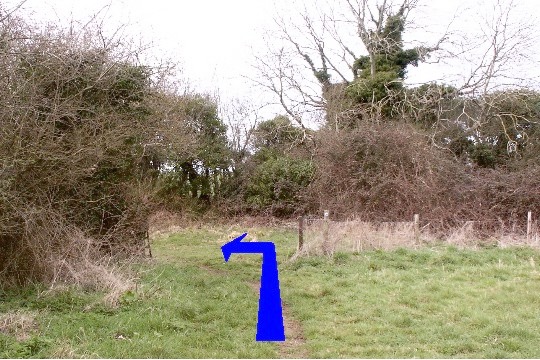 Walk direction photograph: 8 for walk Ackling Dyke, Gussage All Saints, Dorset, South West England.