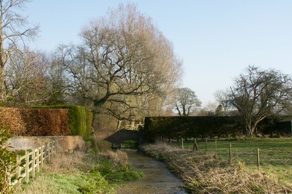 Picture, Photo, View of Gussage All Saints, Dorset