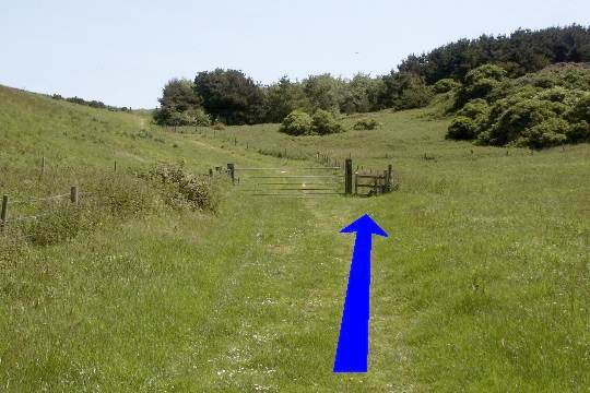 Walk direction photograph: 8 for walk Scratchy Bottom, Lulworth, Dorset, South West England.