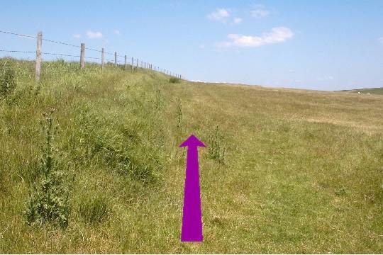 Walking direction photo: 7 for walk West Bottom, Lulworth, Dorset, Jurassic Coast.