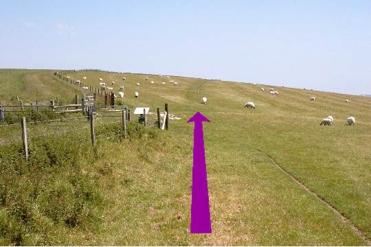 Walk direction photograph: 8 for walk West Bottom, Lulworth, Dorset, South West England.