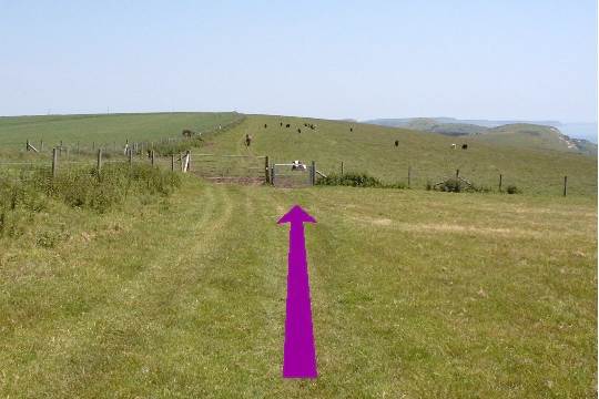 Walk direction photograph: 10 for walk West Bottom, Lulworth, Dorset, South West England.