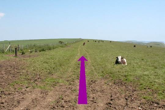 Walking direction photo: 11 for walk West Bottom, Lulworth, Dorset, Jurassic Coast.